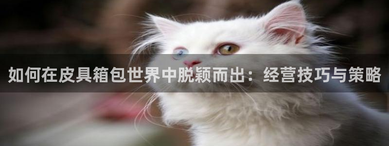 卧龙湾娱乐会所