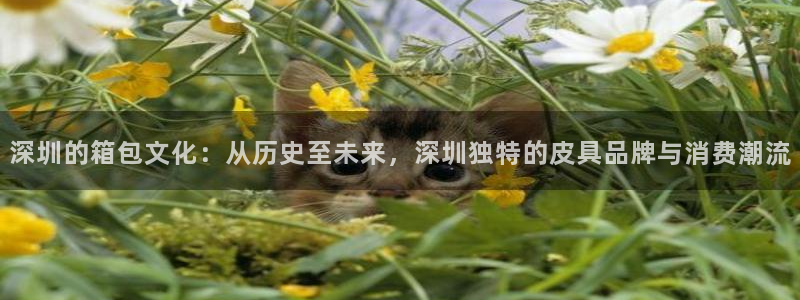 卧龙镇娱乐