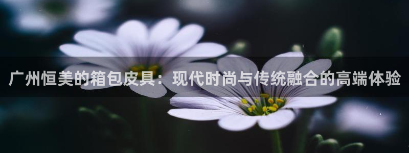 卧龙娱乐代理