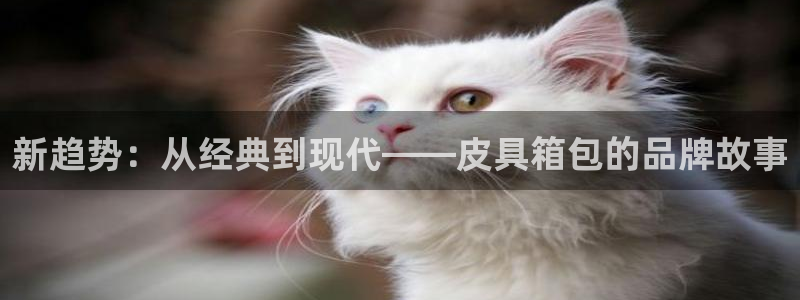 卧龙娱乐属于什么公司