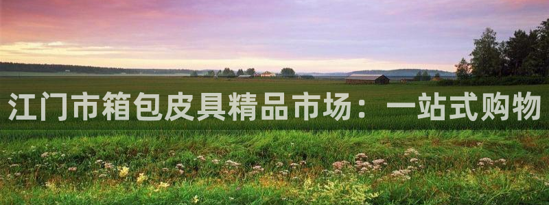 卧龙2神机娱乐注册