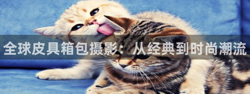 郑州卧龙娱乐设备