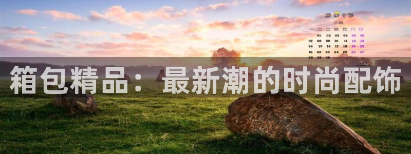 卧龙娱乐总代理电话