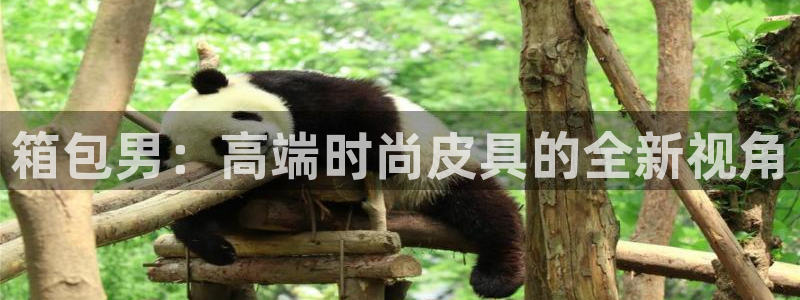卧龙娱乐属于什么行业