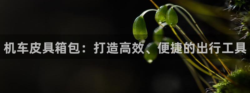 卧龙娱乐