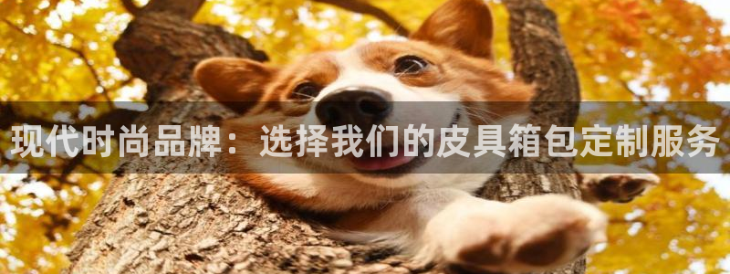 卧龙新款娱乐设备