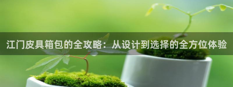 卧龙山娱乐项目