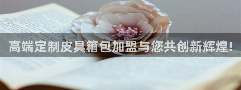 卧龙娱乐挂机平台有哪些