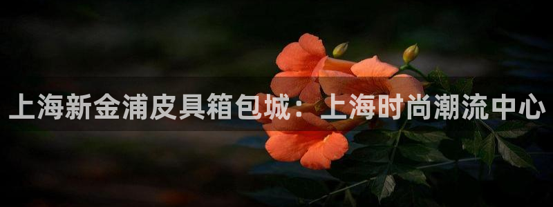 卧龙娱乐平台登录