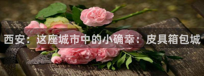 卧龙娱乐app下载