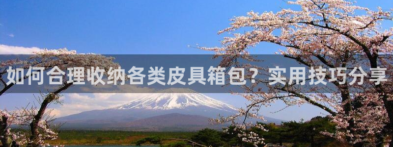 卧龙儿童娱乐设施