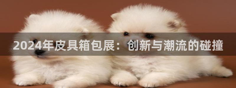 卧龙区娱乐设备