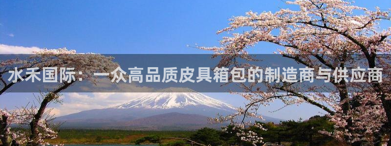 卧龙传统娱乐团购