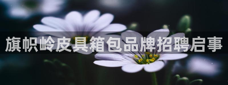 泰安卧龙大观娱乐中心