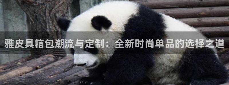 卧龙娱乐不出款了吗