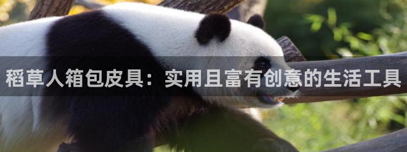 卧龙凤雏娱乐抖音