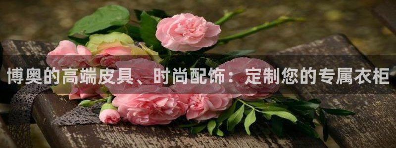 卧龙娱乐注册地址是哪里