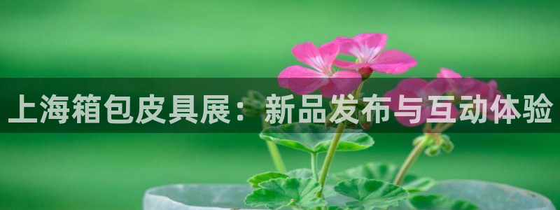 绥阳卧龙湖娱乐