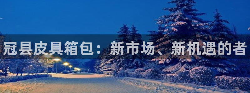 卧龙凤雏娱乐版