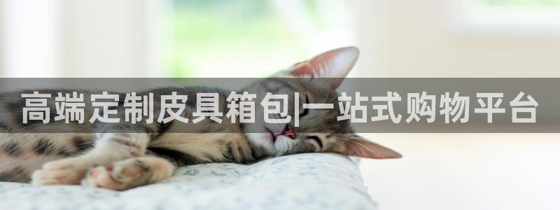 柏林娱乐  0 卧龙