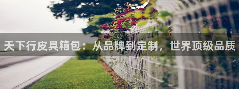 超越娱乐b卧龙313322