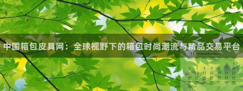 卧龙2神机娱乐代理