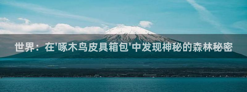 卧龙公园的娱乐项目