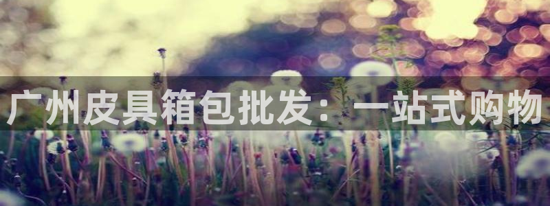 卧龙娱乐登录地址查询