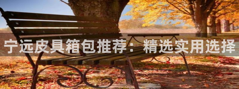 卧龙娱乐总代理是谁呀