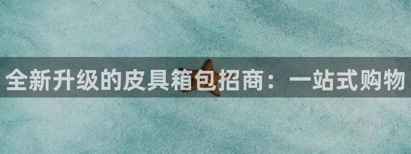 卧龙区社交娱乐