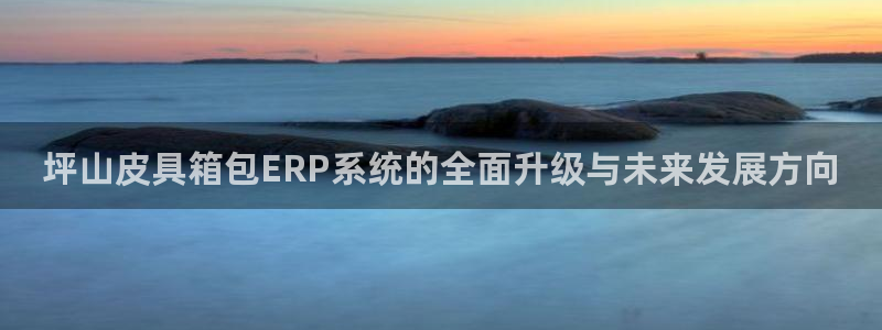 卧龙2神机娱乐攻略