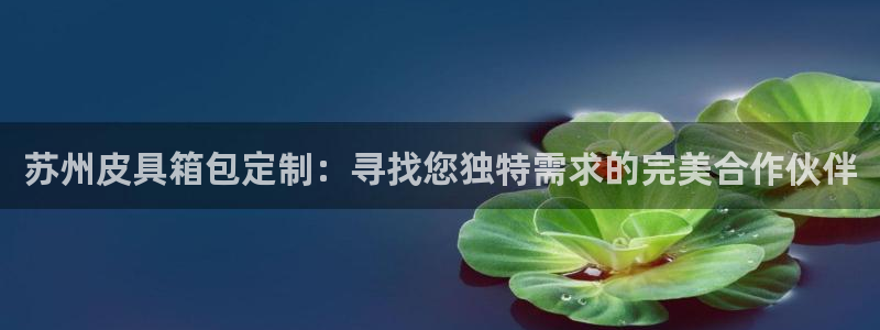 卧龙娱乐app下载苹果