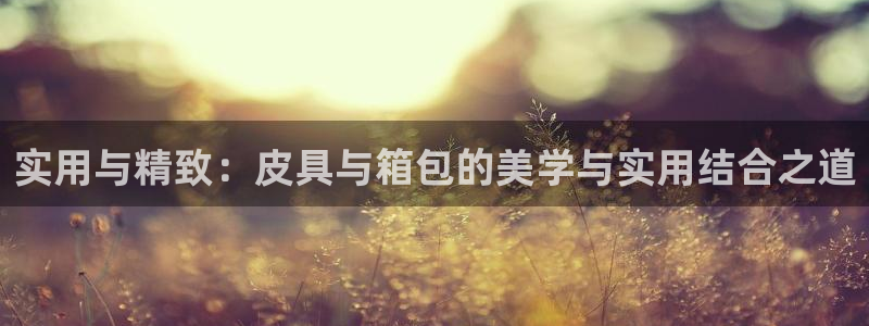 卧龙娱乐app下载安装