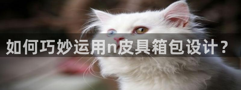 卧龙娱乐官网首页下载