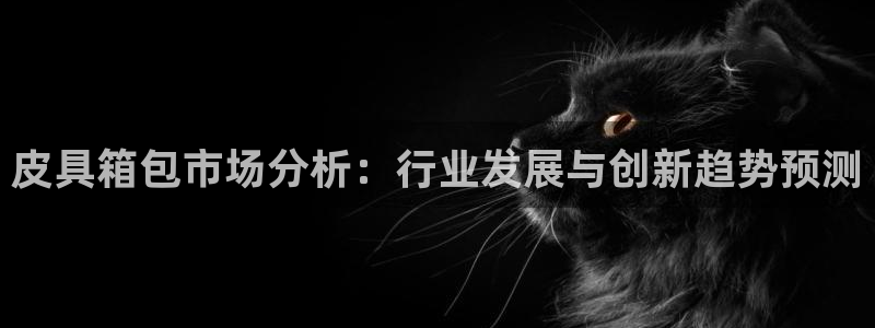 卧龙沙滩蹦床娱乐