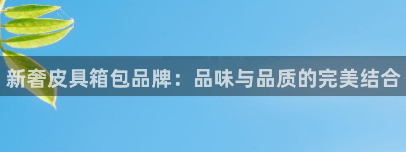 超越娱乐b卧龙313322