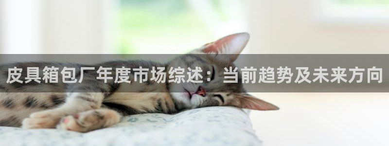 卧龙哥休闲娱乐