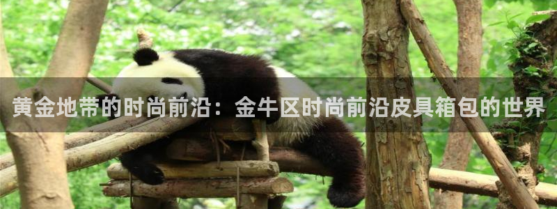 卧龙娱乐挂机平台