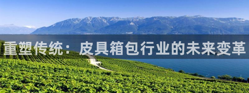 卧龙娱乐招商代理电话