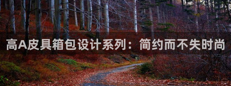 卧龙娱乐招商主管