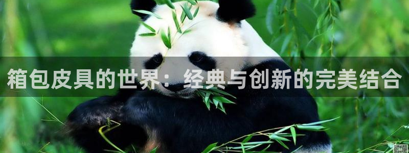 qq娱乐 卧龙招商60447