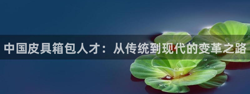 悉尼卧龙岗娱乐