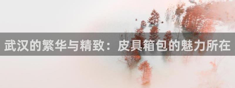 卧龙娱乐属于什么公司