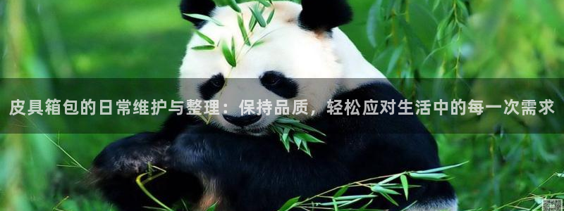 卧龙娱乐app下载